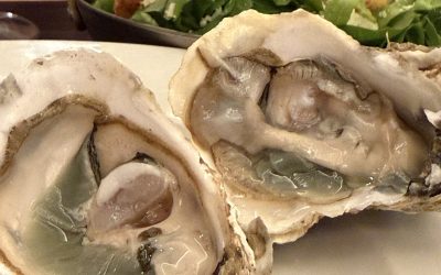 Ostras verdes: rara iguaria sazonal que você precisa provar