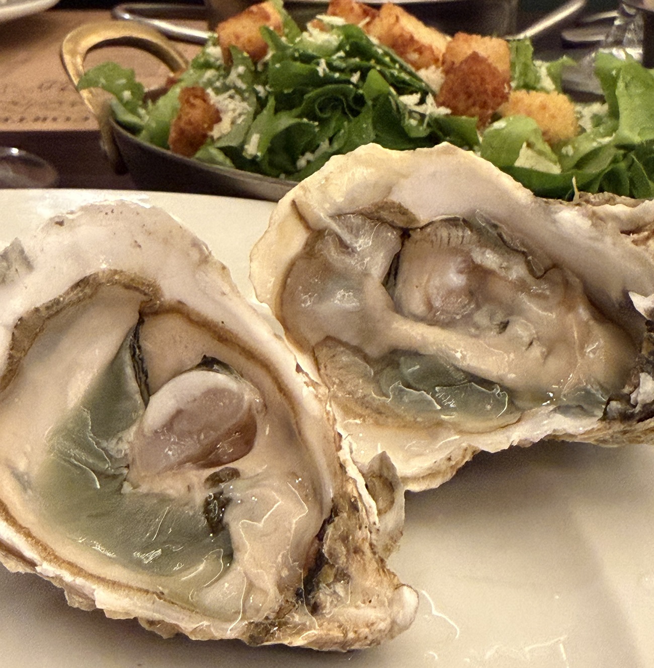 Palace – ostras verdes – capa