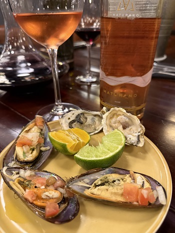 Os vinhos da Vinícola Maturano